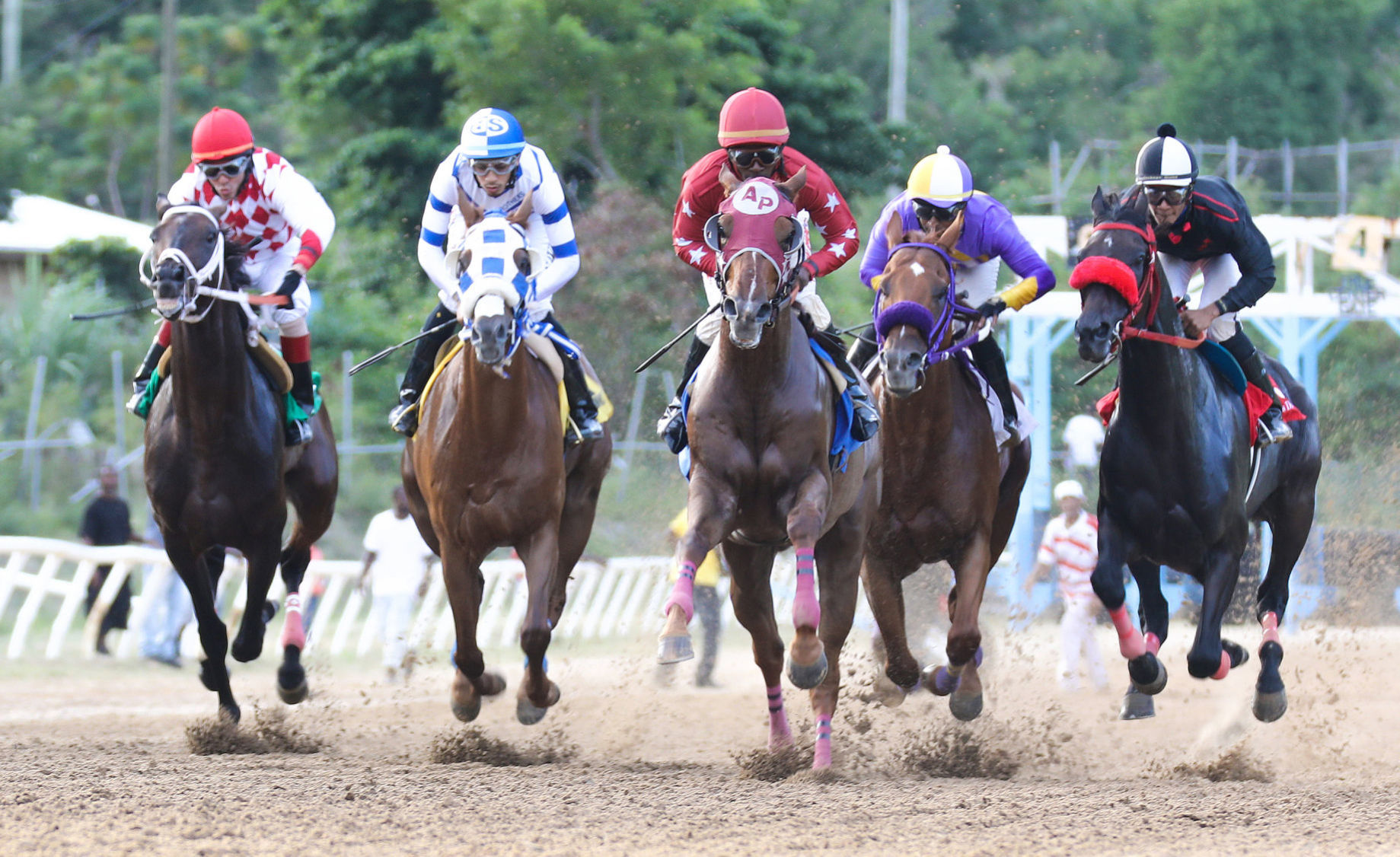 Tortola races